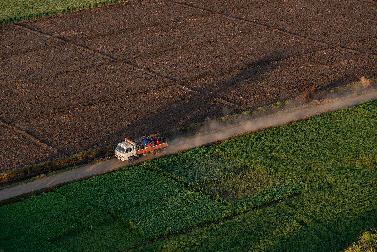 Aerial view of a bulk truck on a farm road between croplands